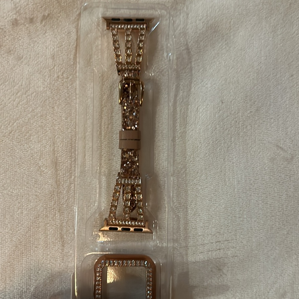 Watch band and case